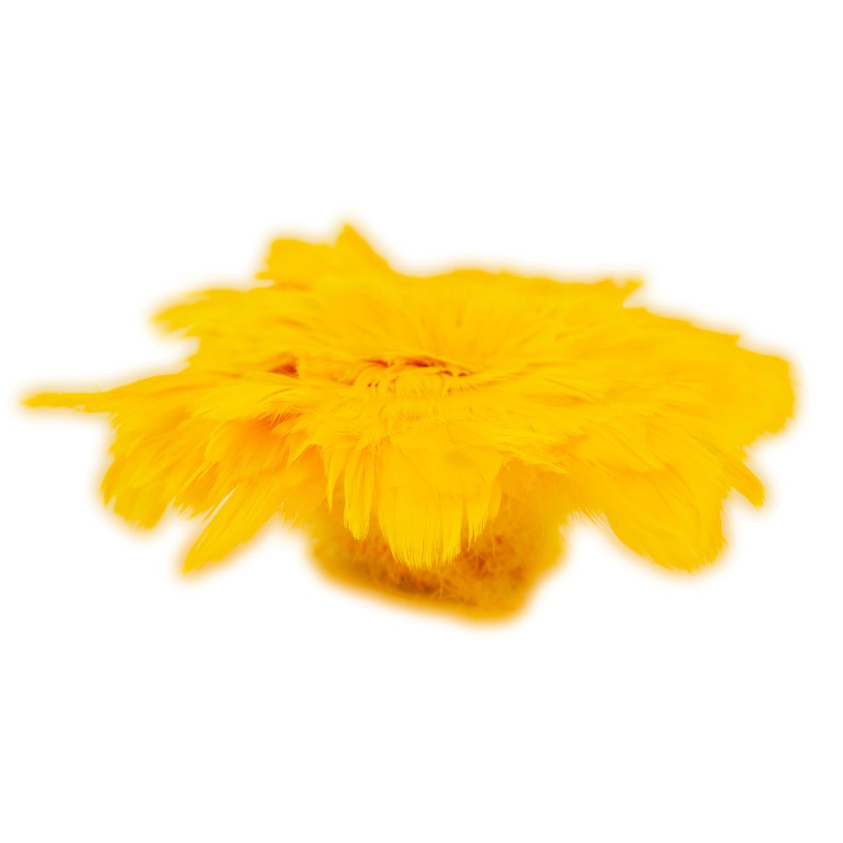 Strung Goose Coquille Feathers 3-4" -- 1/4 lb-Gold