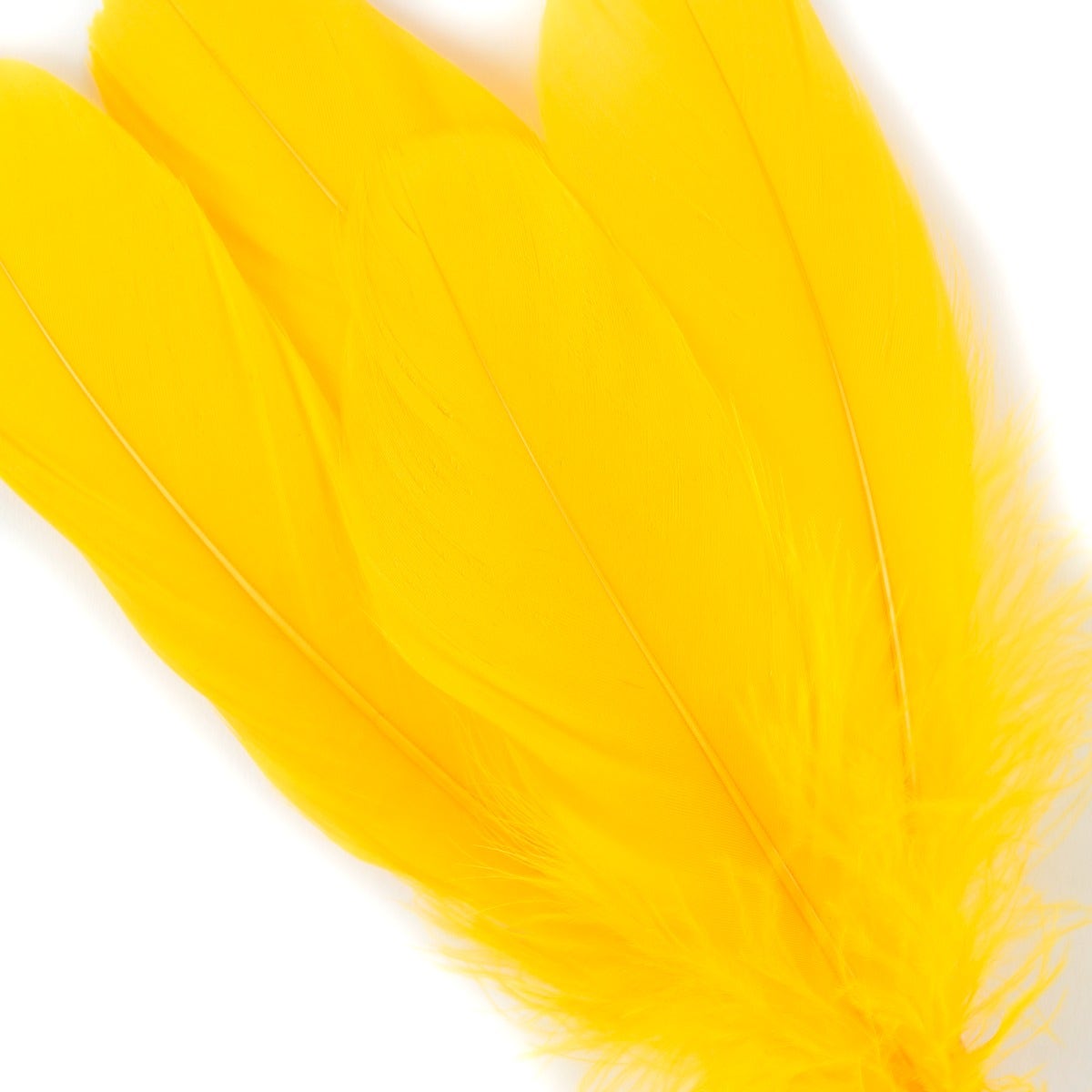 Goose Pallet Feathers 6-8" - 12 pc - Gold