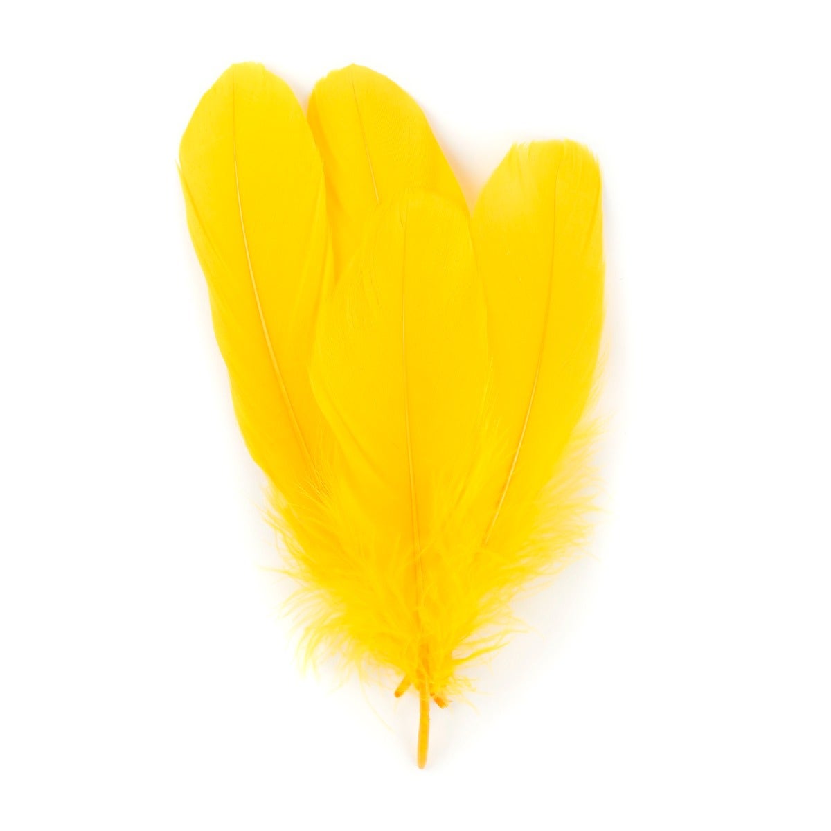 Goose Pallet Feathers 6-8" - 12 pc - Gold