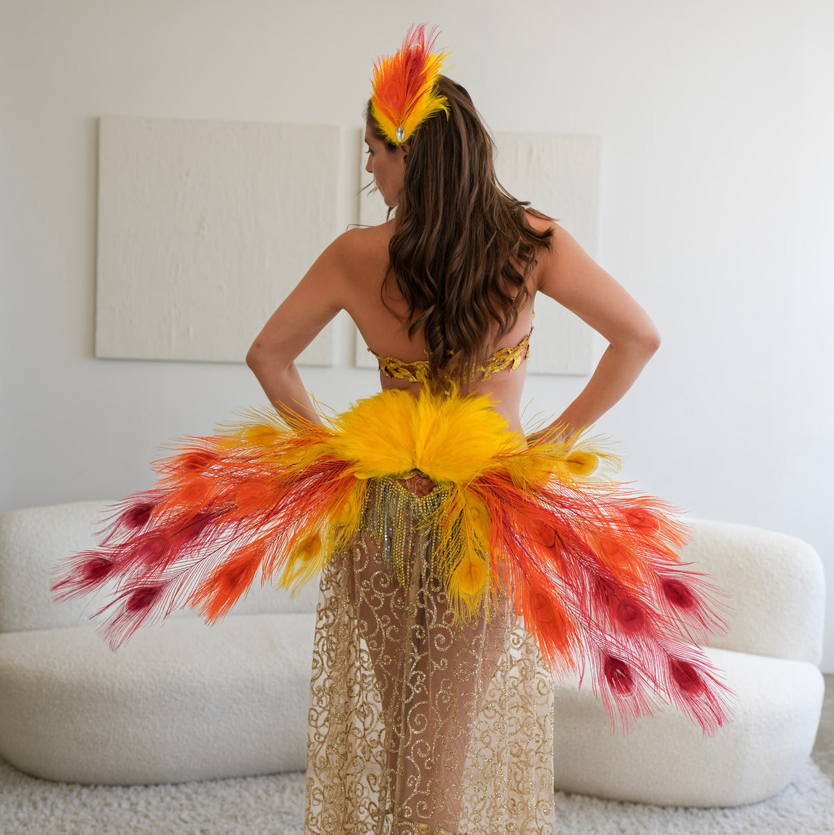Solar Kiss Peacock Fairy Wings & Cuffs