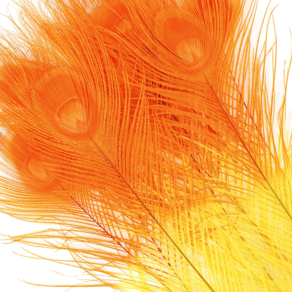 Peacock Eyes Bleached/Dyed & Tipped Feathers - 25-40 Inch - 10 PCS - Gold - Orange