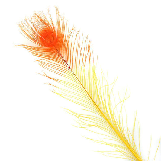 Peacock Eyes Bleached/Dyed & Tipped Feathers - 25-40 Inch - 10 PCS - Gold - Orange