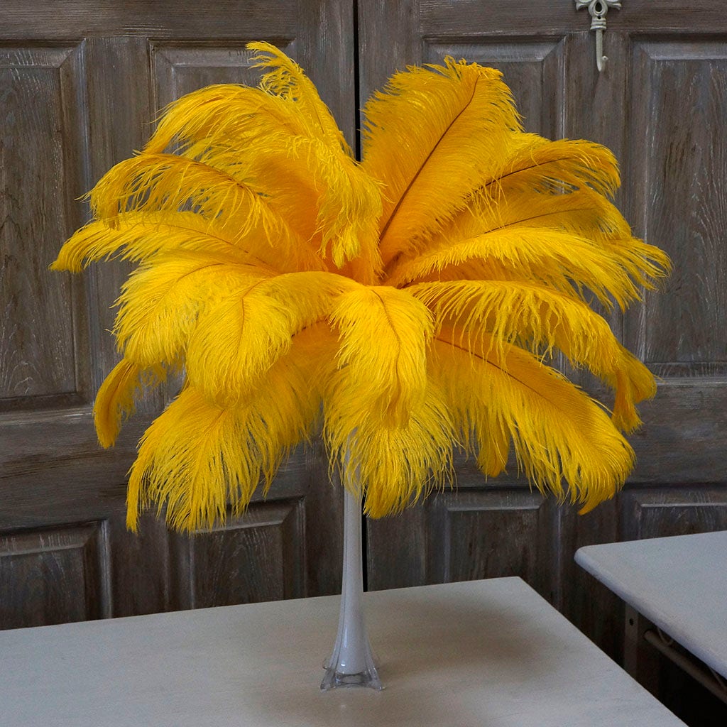 Large Ostrich Feathers - 17"+ Drabs - Gold