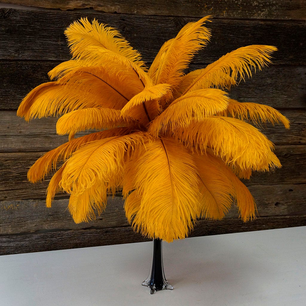 Large Ostrich Feathers - 17"+ Drabs - Marigold