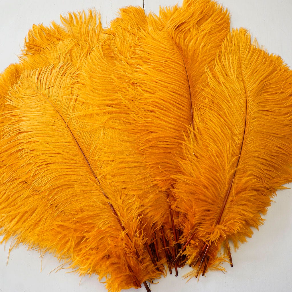 Large Ostrich Feathers - 17"+ Drabs - Marigold