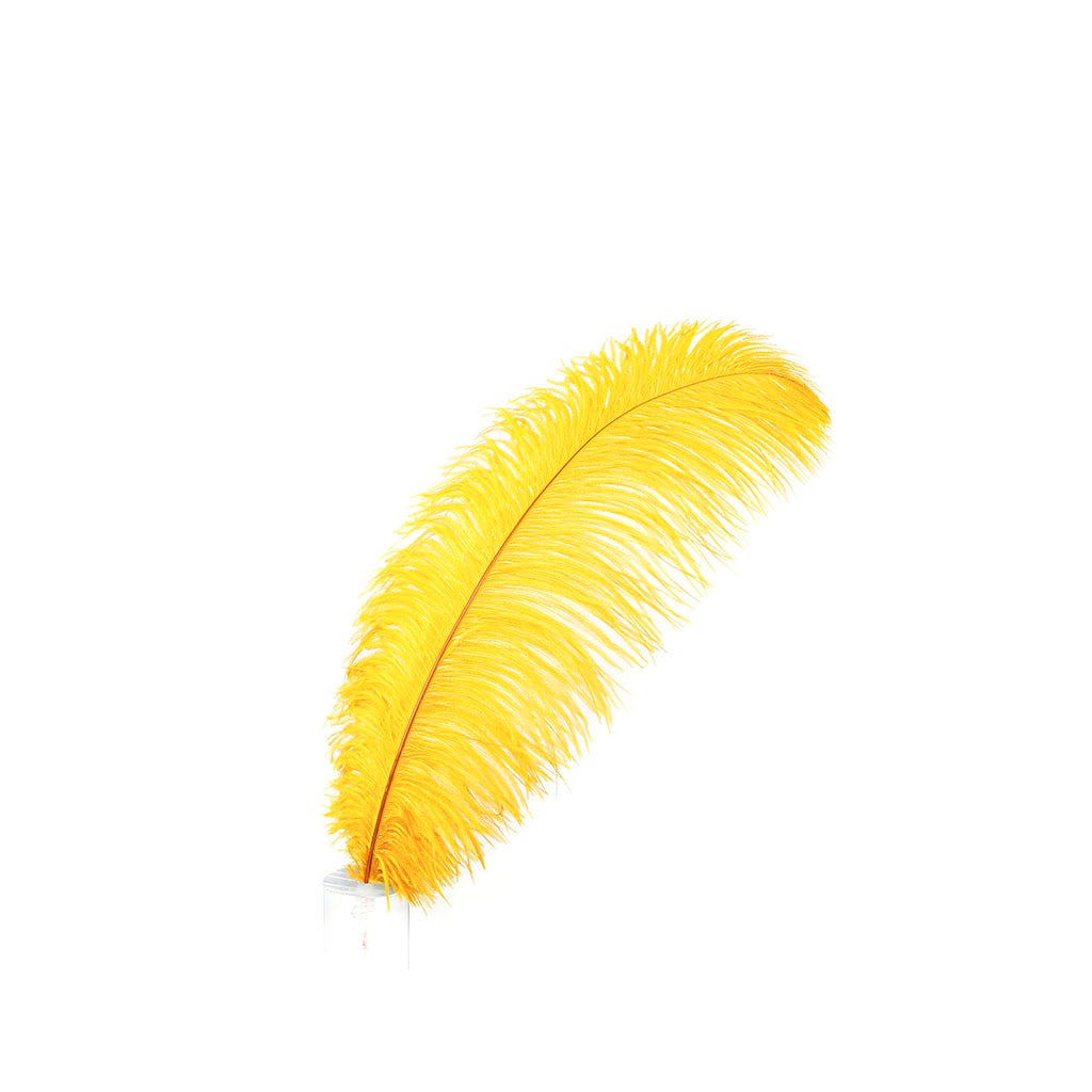 Large Ostrich Feathers - 17"+ Drabs - Marigold