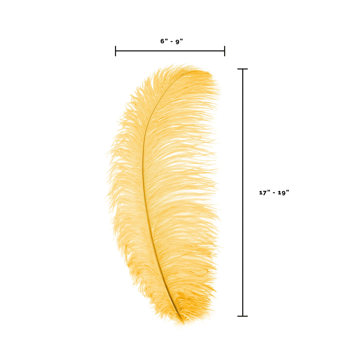 Large Ostrich Feathers - 17"+ Drabs - Marigold