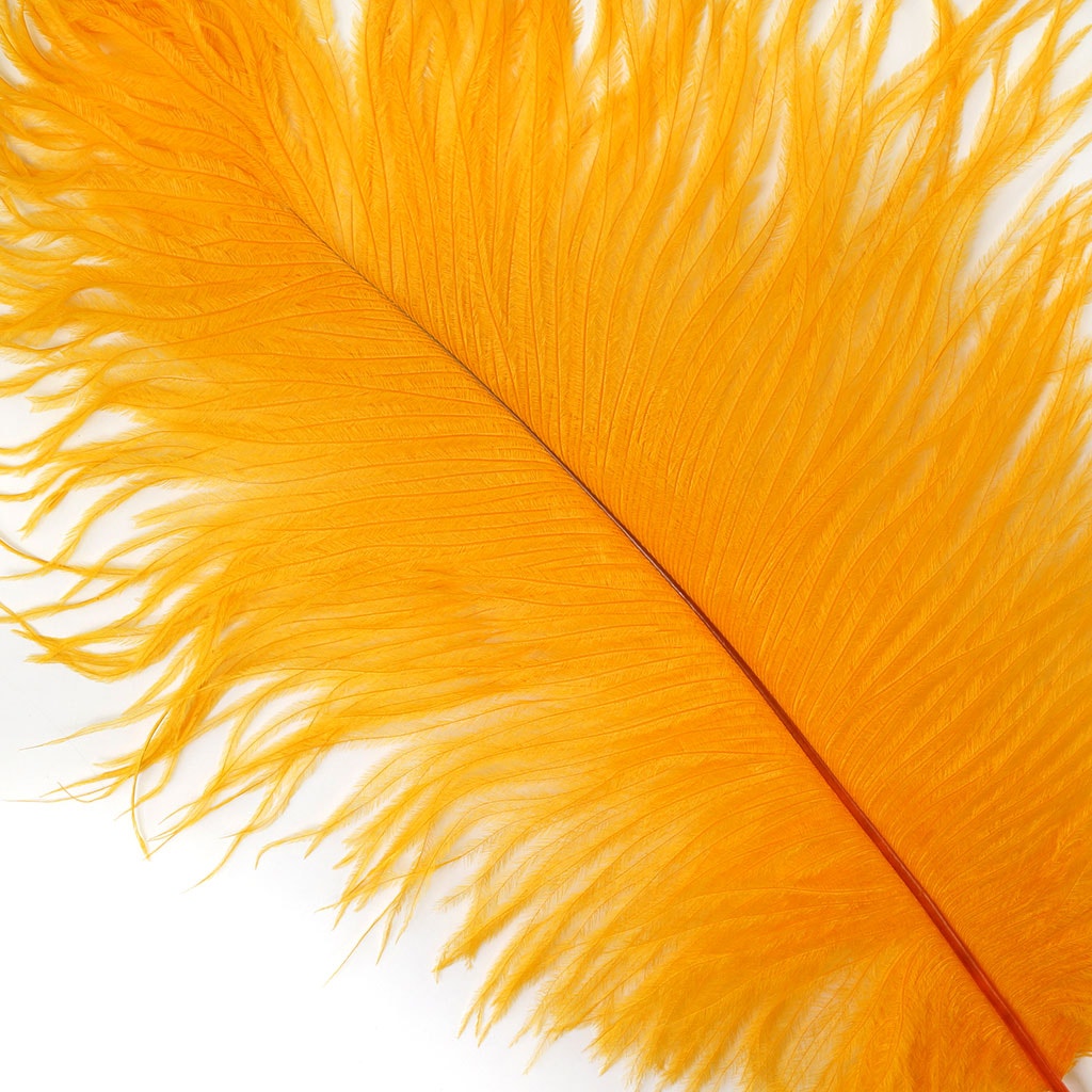 Ostrich Feathers 9-12" Drabs - Marigold