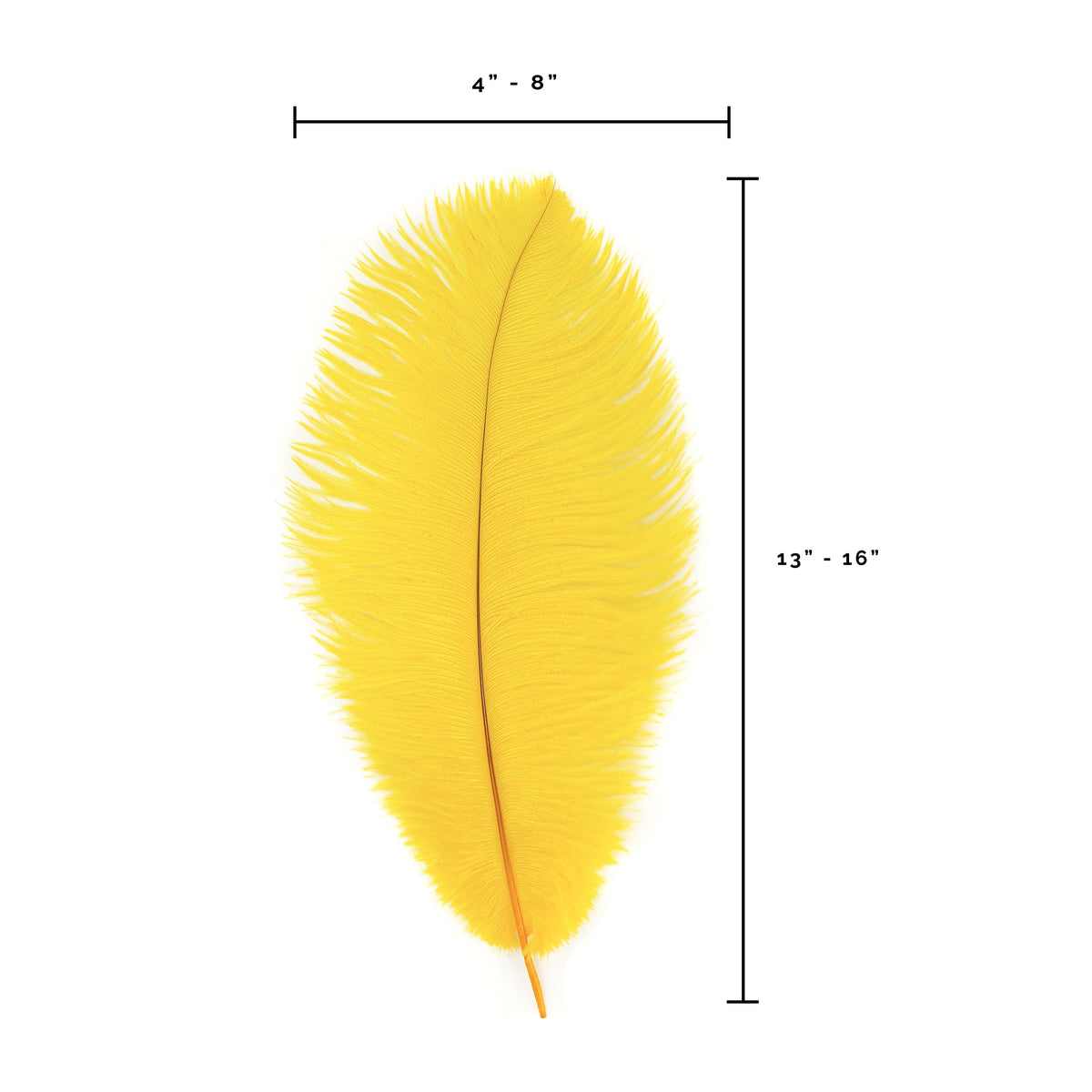 Ostrich Feather Drabs - 13-16 inch - Gold