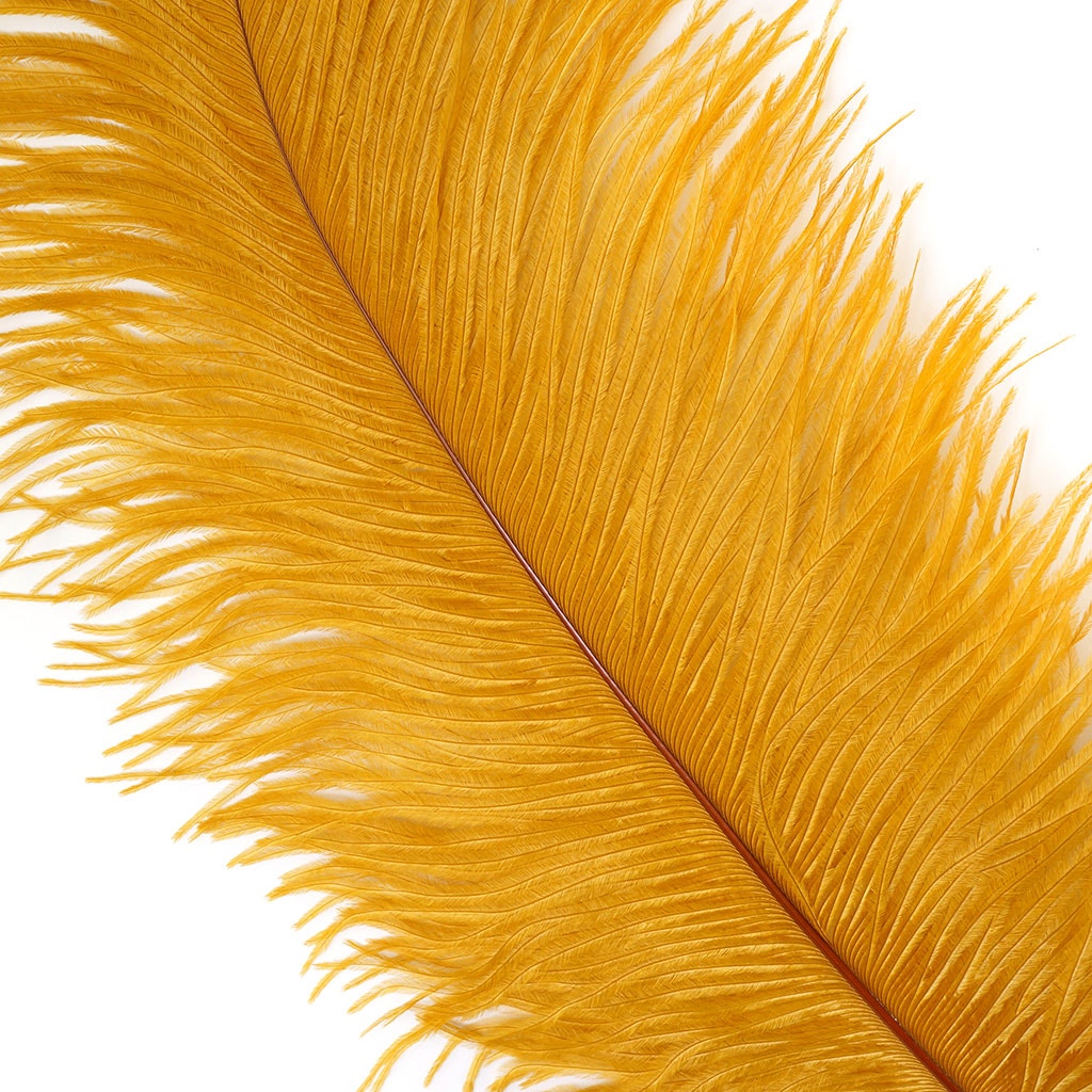 Ostrich Feathers 13-16" Drabs - Marigold