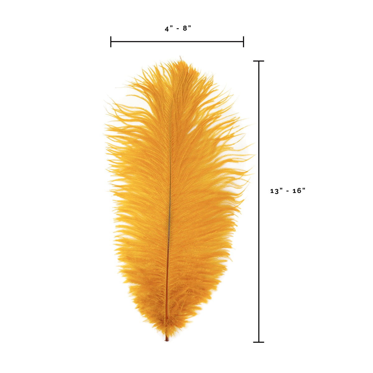 Ostrich Feathers 13-16" Drabs - Marigold