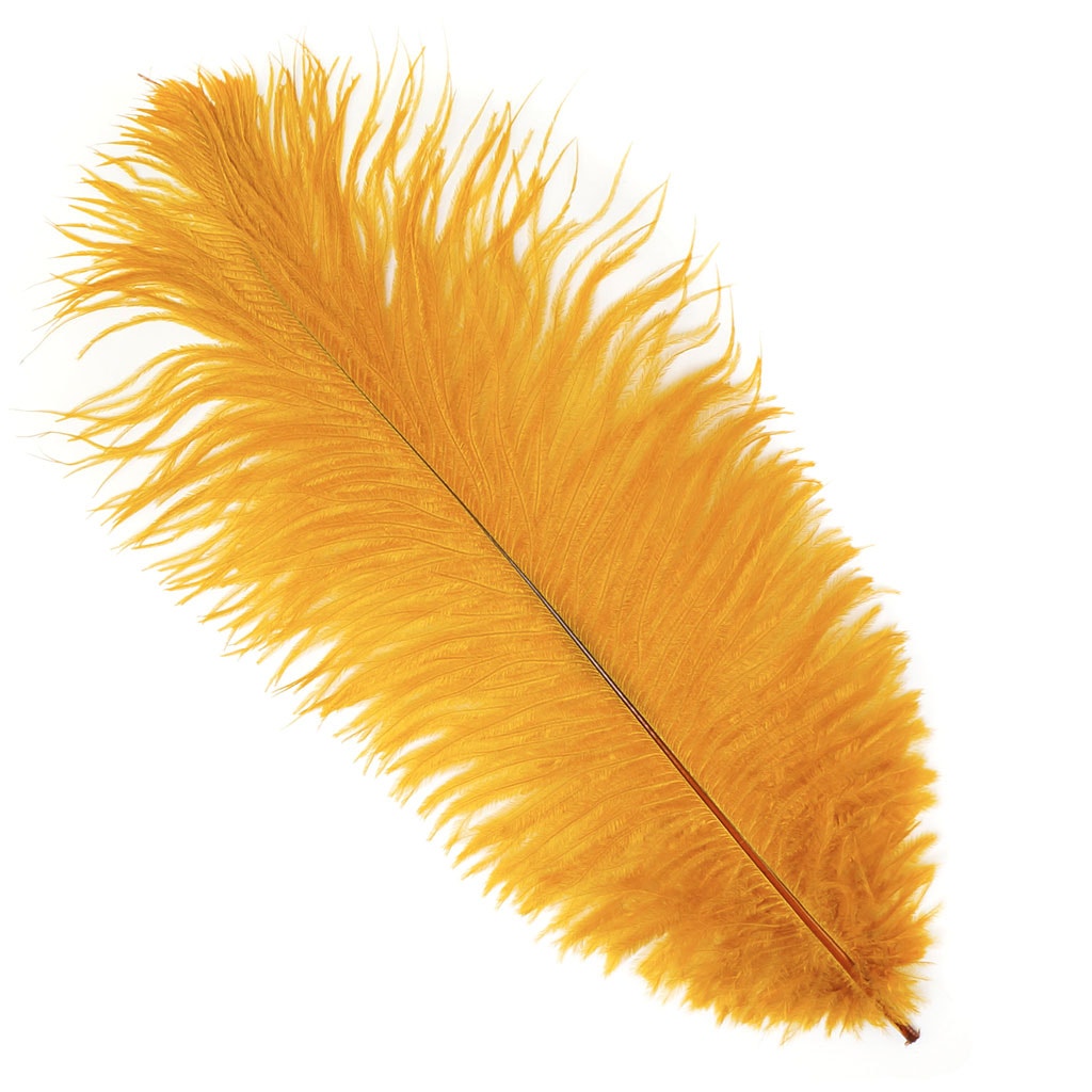 Ostrich Feathers 13-16" Drabs - Marigold