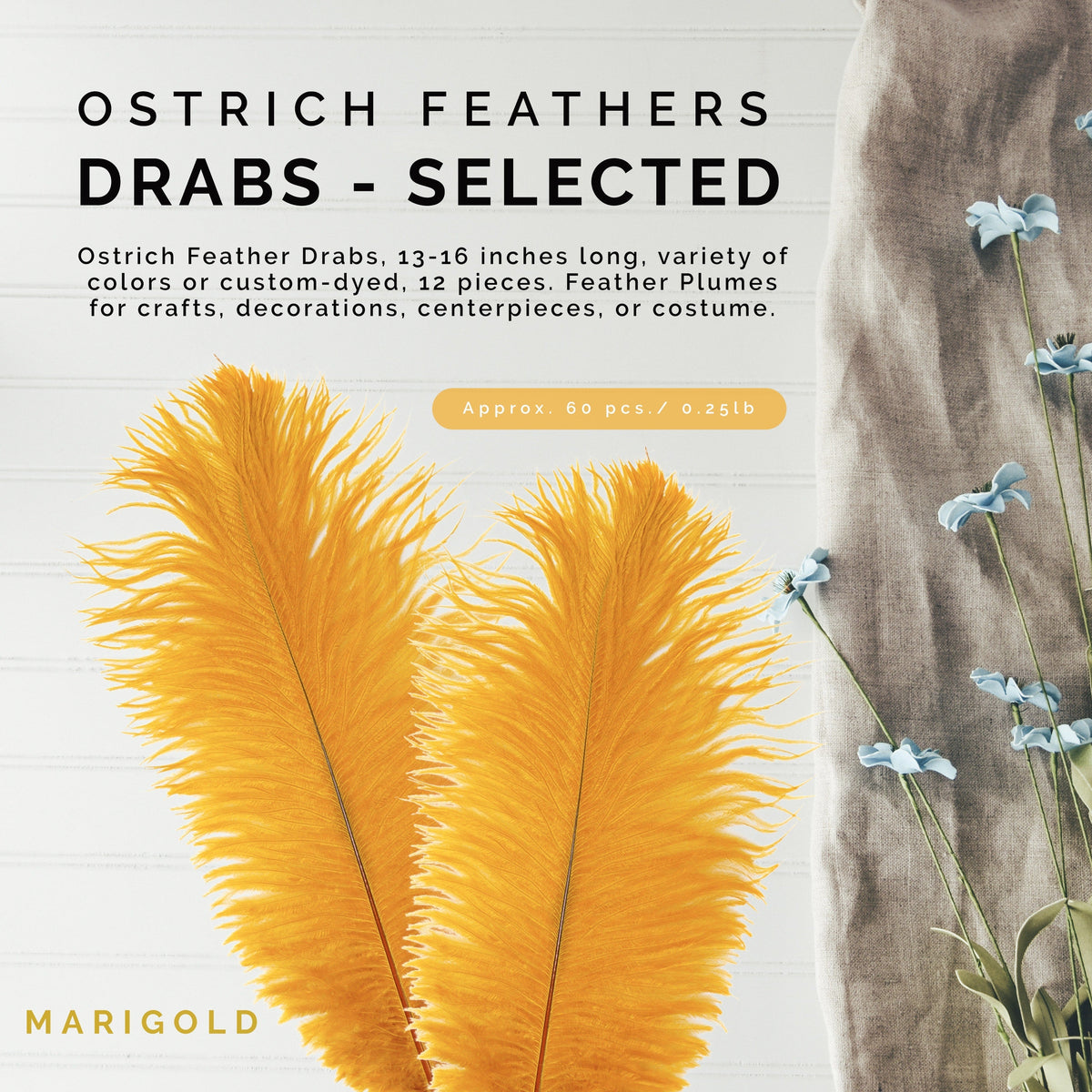 Ostrich Feathers 13-16" Drabs - Marigold