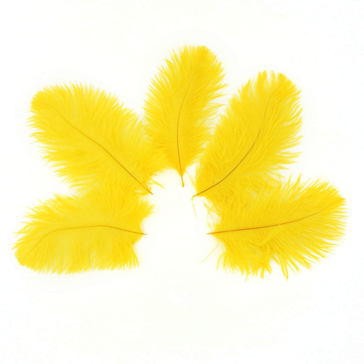 Ostrich Feathers 4-8" Drabs - Gold