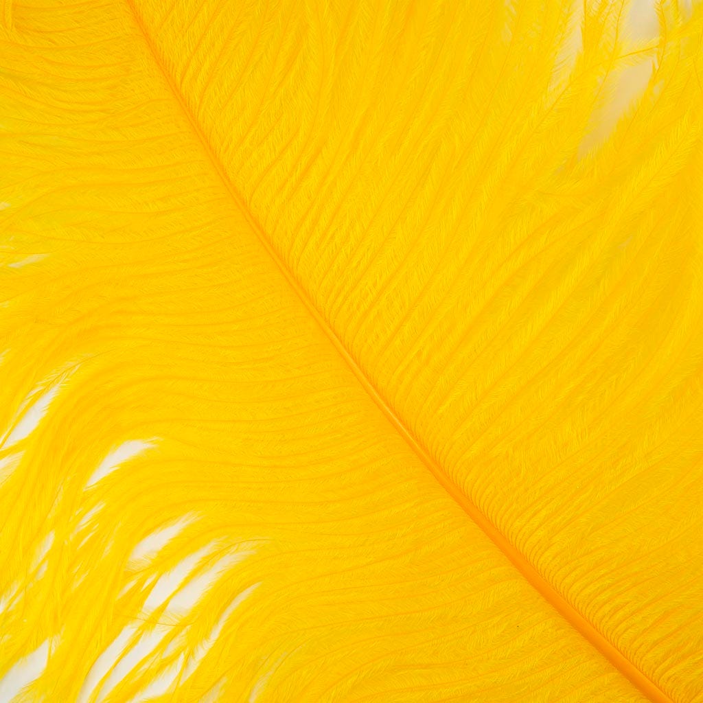 Large Ostrich Feathers - 20-25" Prime Femina Plumes - Gold