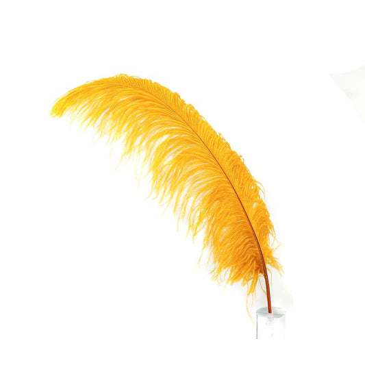 Large Ostrich Feathers - 20-25" Prime Femina Plumes - Marigold