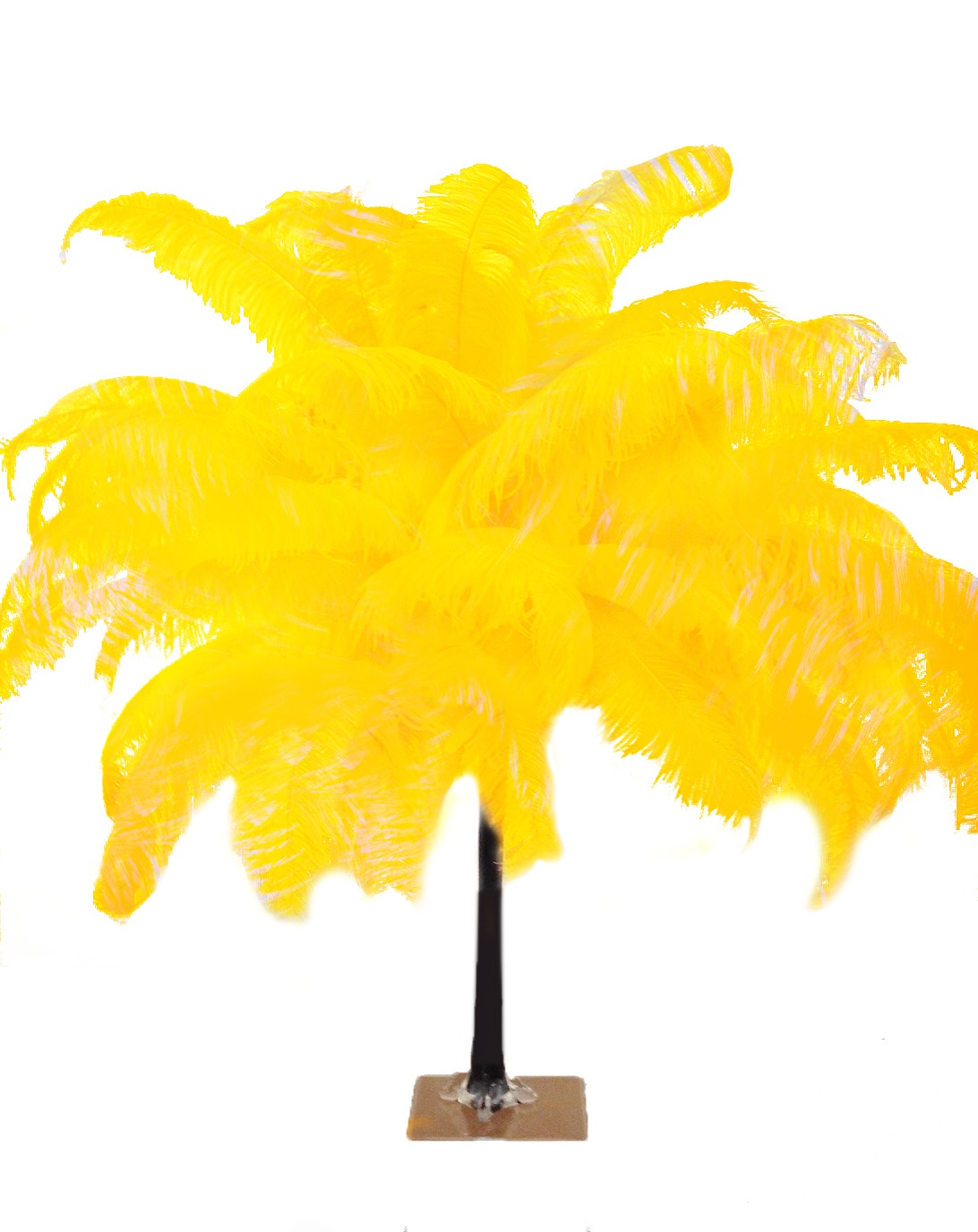 Large Ostrich Feathers - 18-24" Spads - Gold