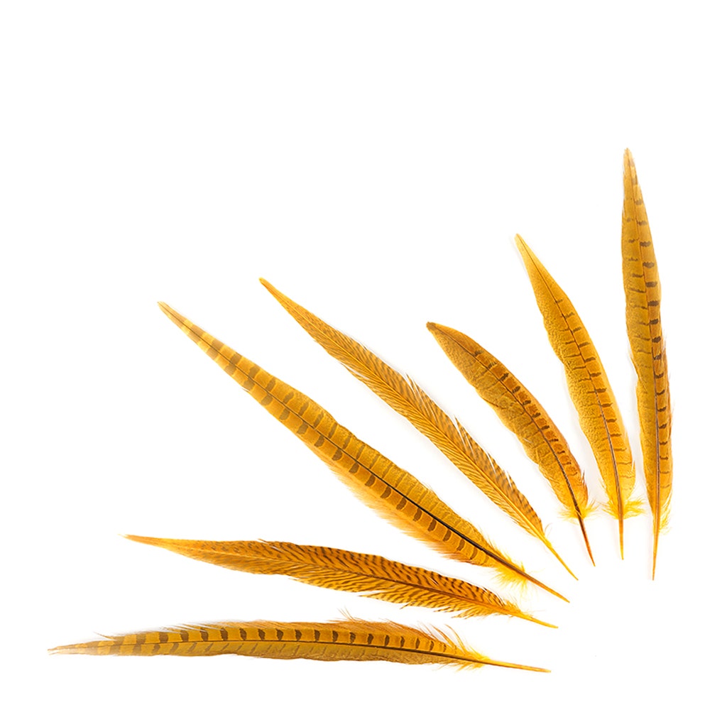 Bulk Assorted Pheasant Tails Dyed - Gold