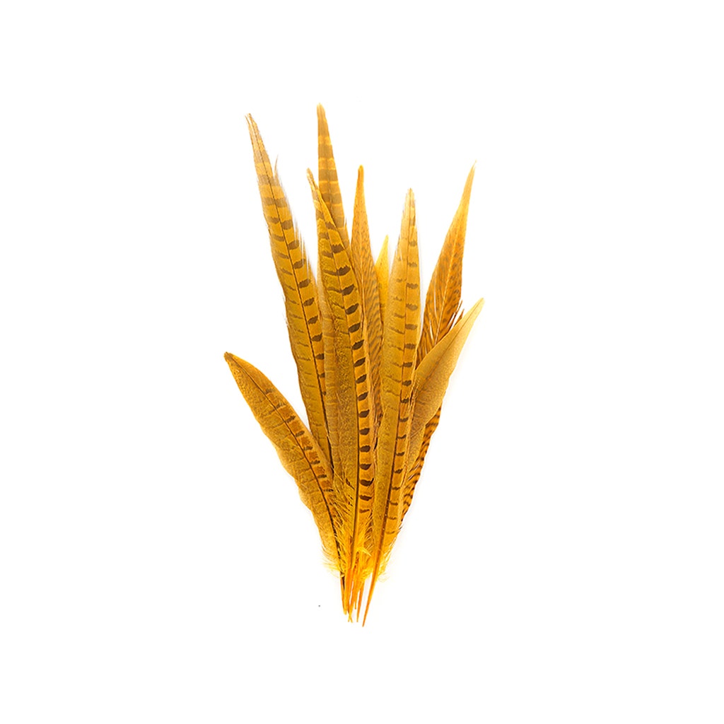 Bulk Assorted Pheasant Tails Dyed - Gold