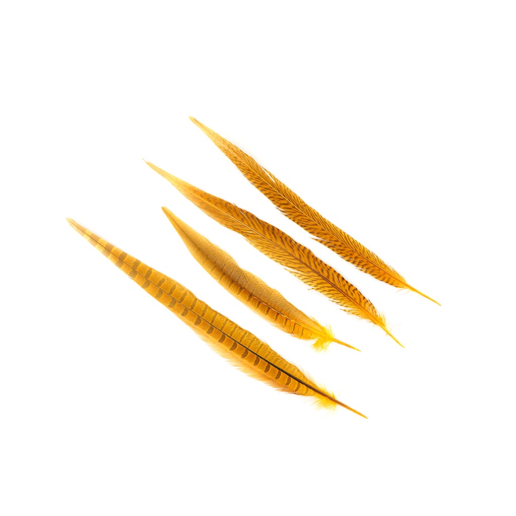 Bulk Assorted Pheasant Tails Dyed - Gold