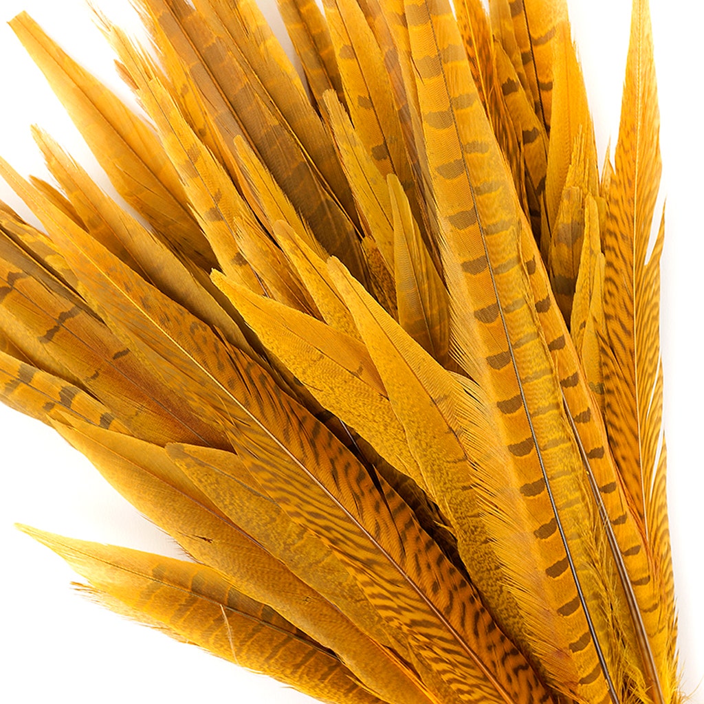 Bulk Assorted Pheasant Tails Dyed - Gold