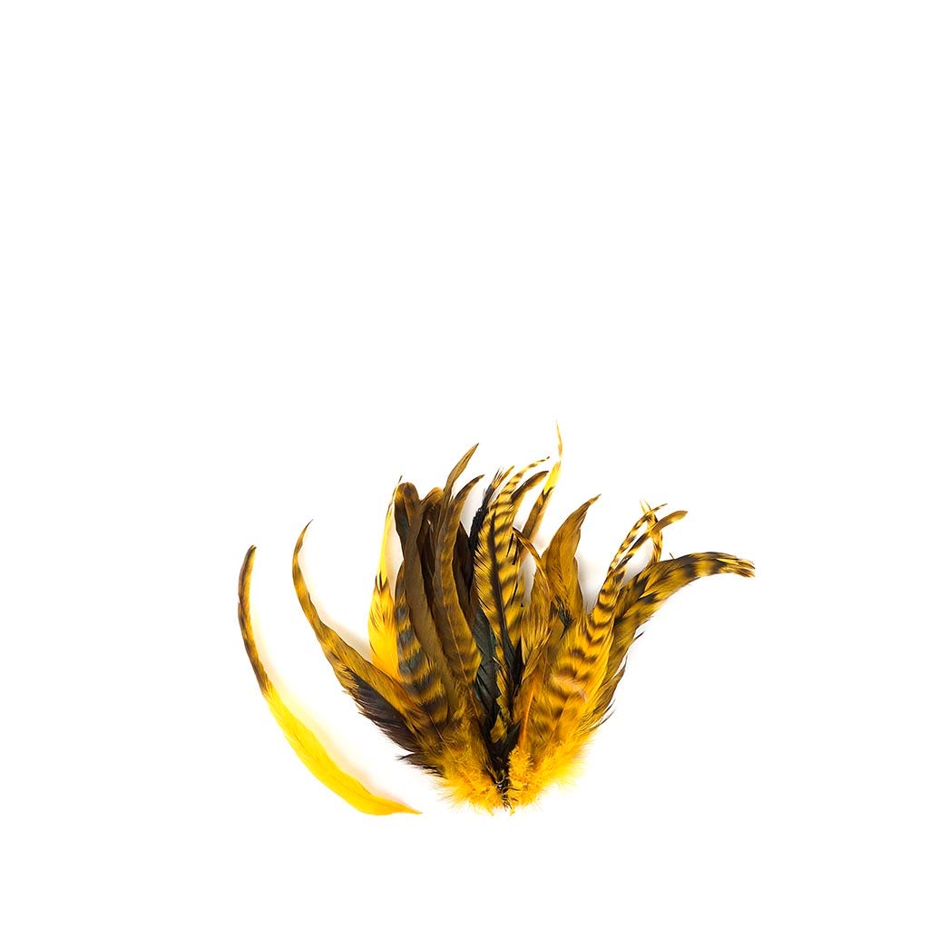 Rooster Coque Tails-Chinchilla Gold