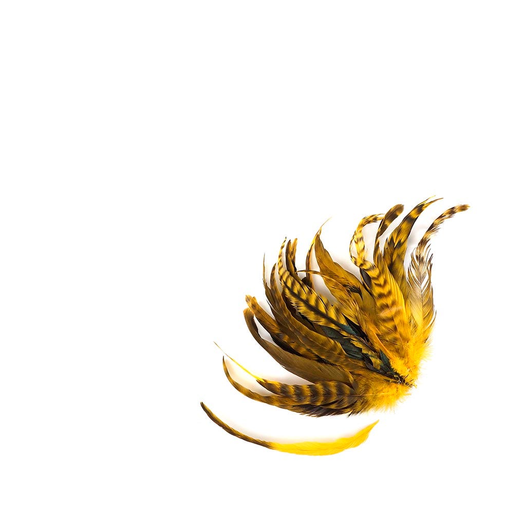 Rooster Coque Tails-Chinchilla Gold