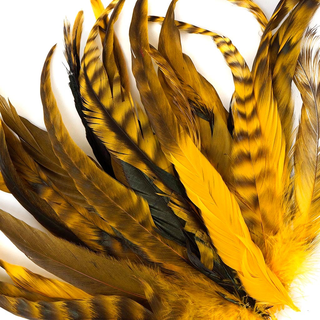 Rooster Coque Tails-Chinchilla Gold