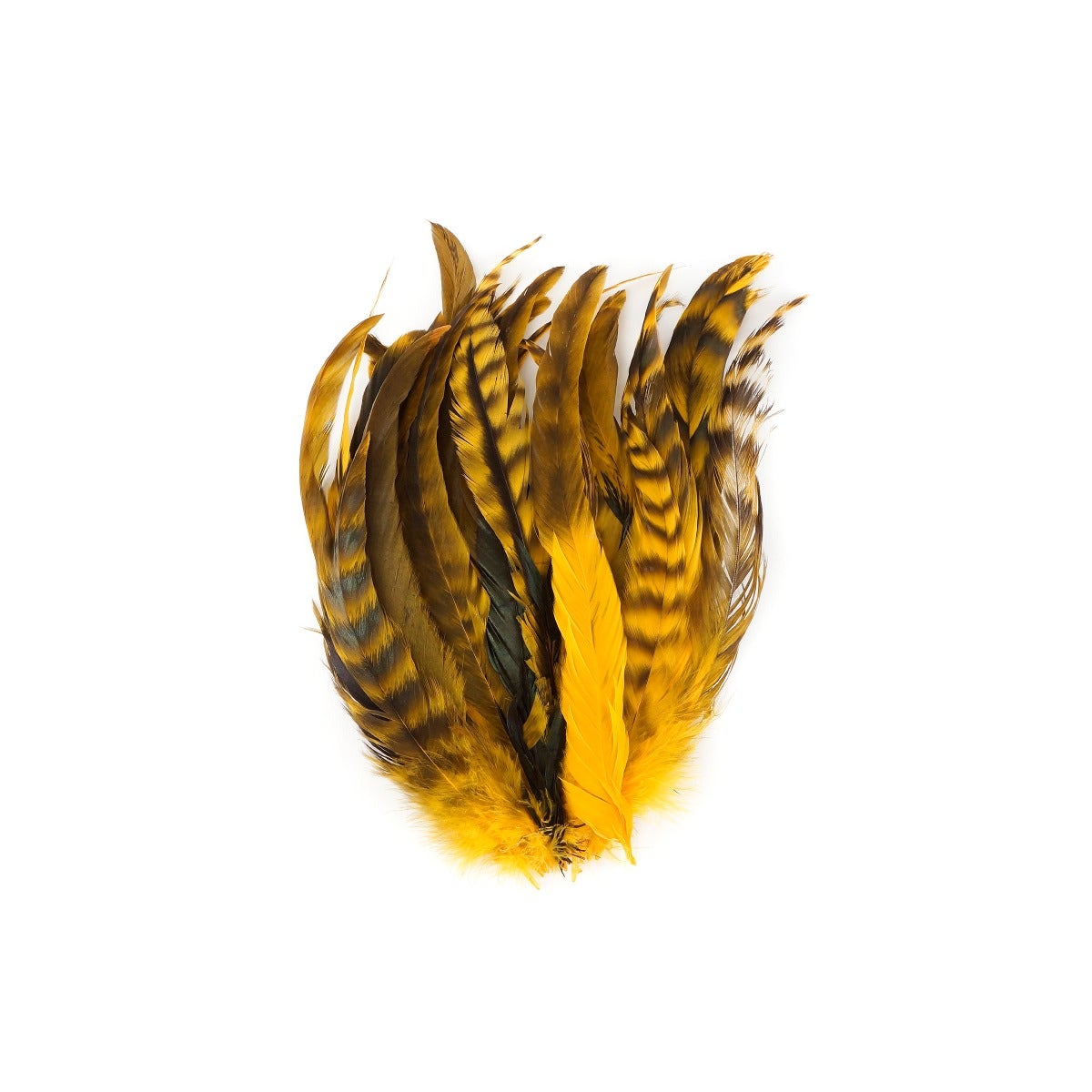 Rooster Coque Tails-Chinchilla Gold