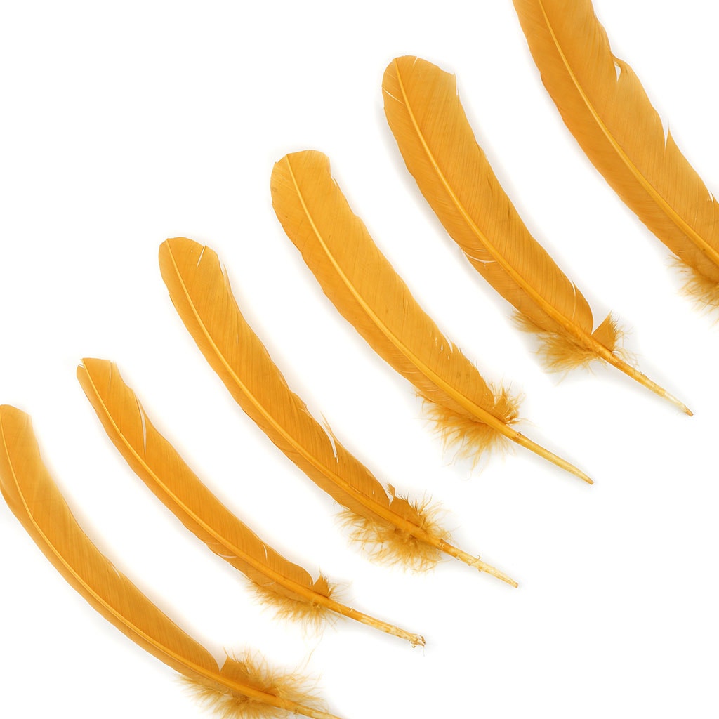 Bulk Turkey Quills by Pound - Right Wing - Antique Gold