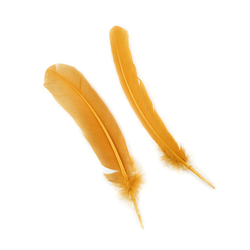 Bulk Turkey Quills by Pound - Right Wing - Antique Gold