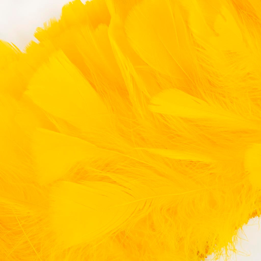 Parried Turkey Ruff Feathers - 1/2YD - Gold