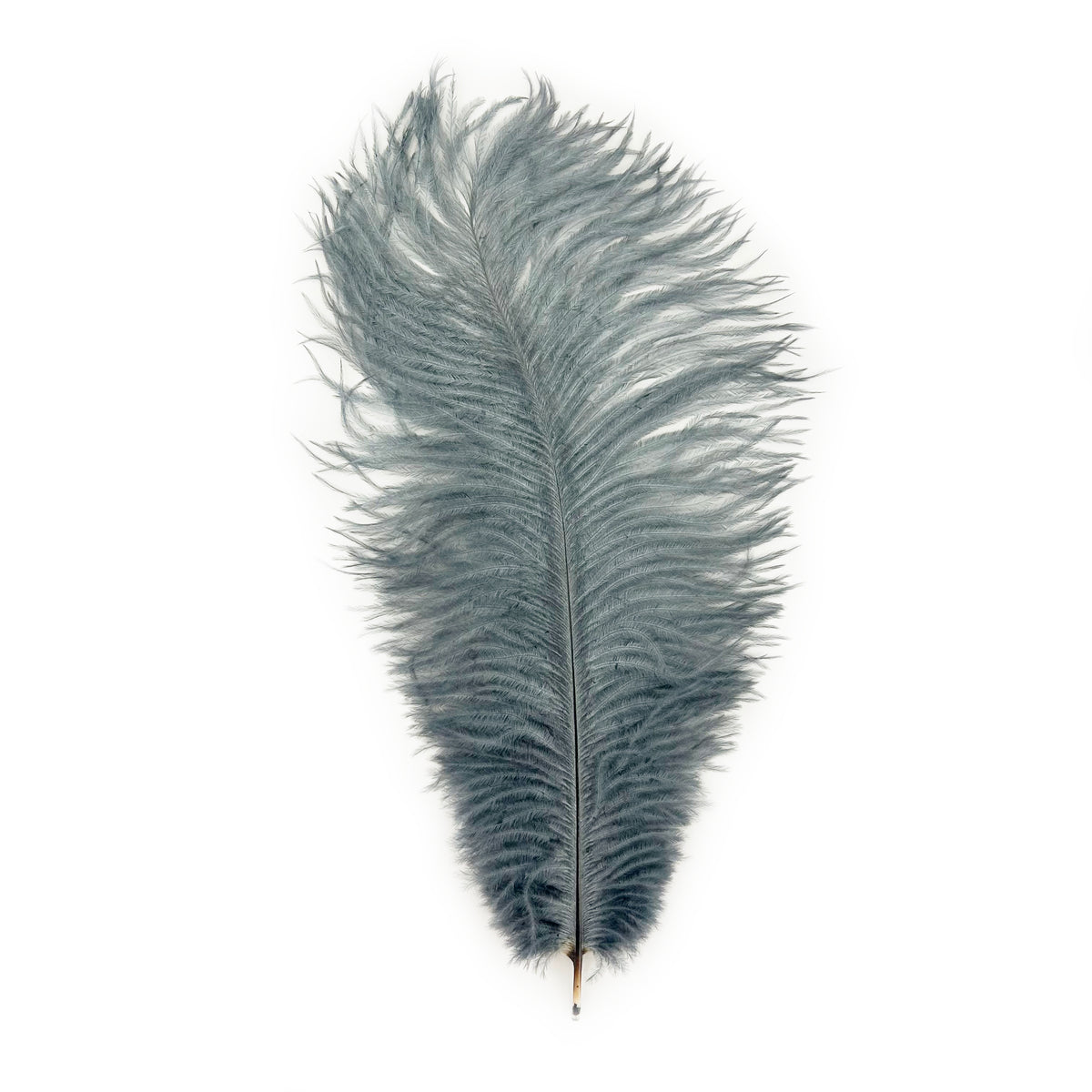 Ostrich Feathers 9-12" Drabs - Gun Metal Grey