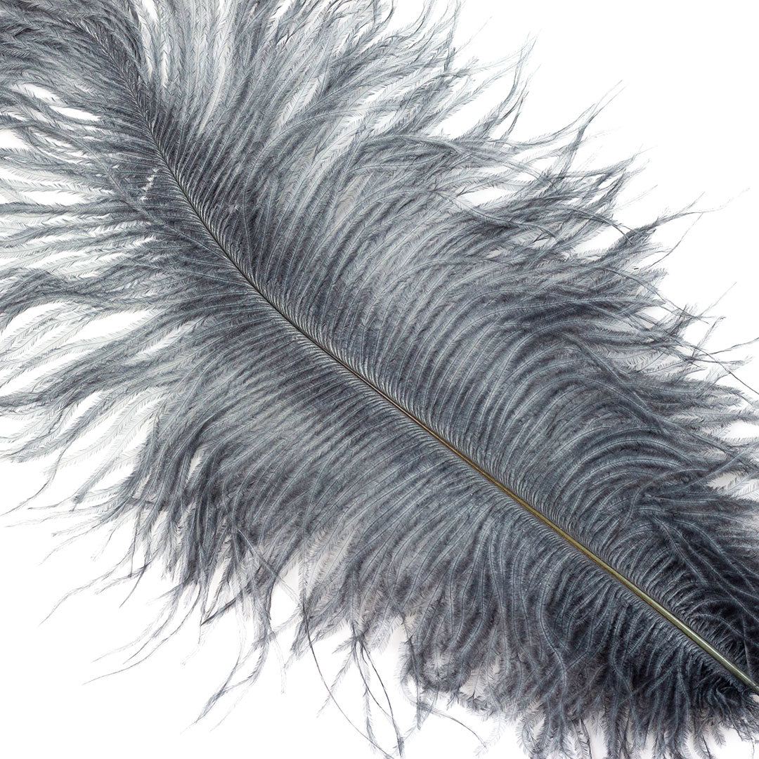 Large Ostrich Feathers - 17"+ Drabs - Gun Metal Grey