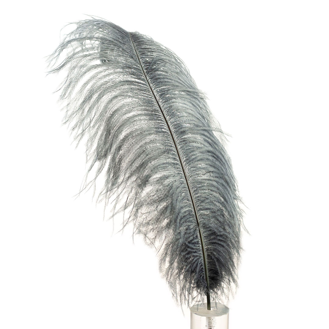 Large Ostrich Feathers - 17"+ Drabs - Gun Metal Grey