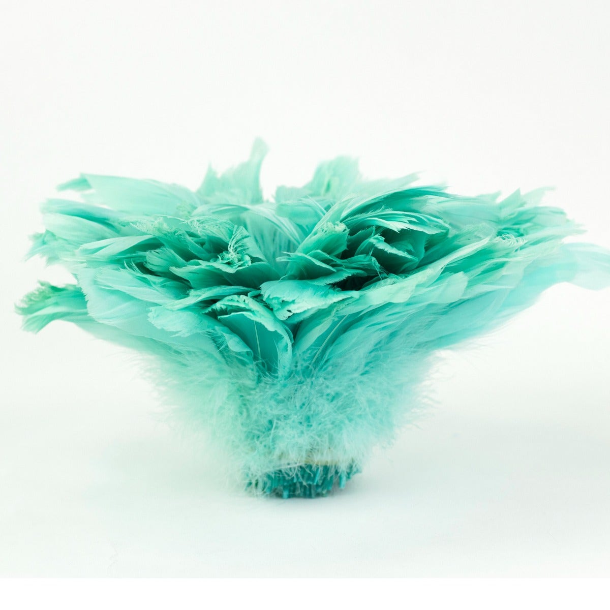 Goose Nagorie Dyed Feathers -Mint