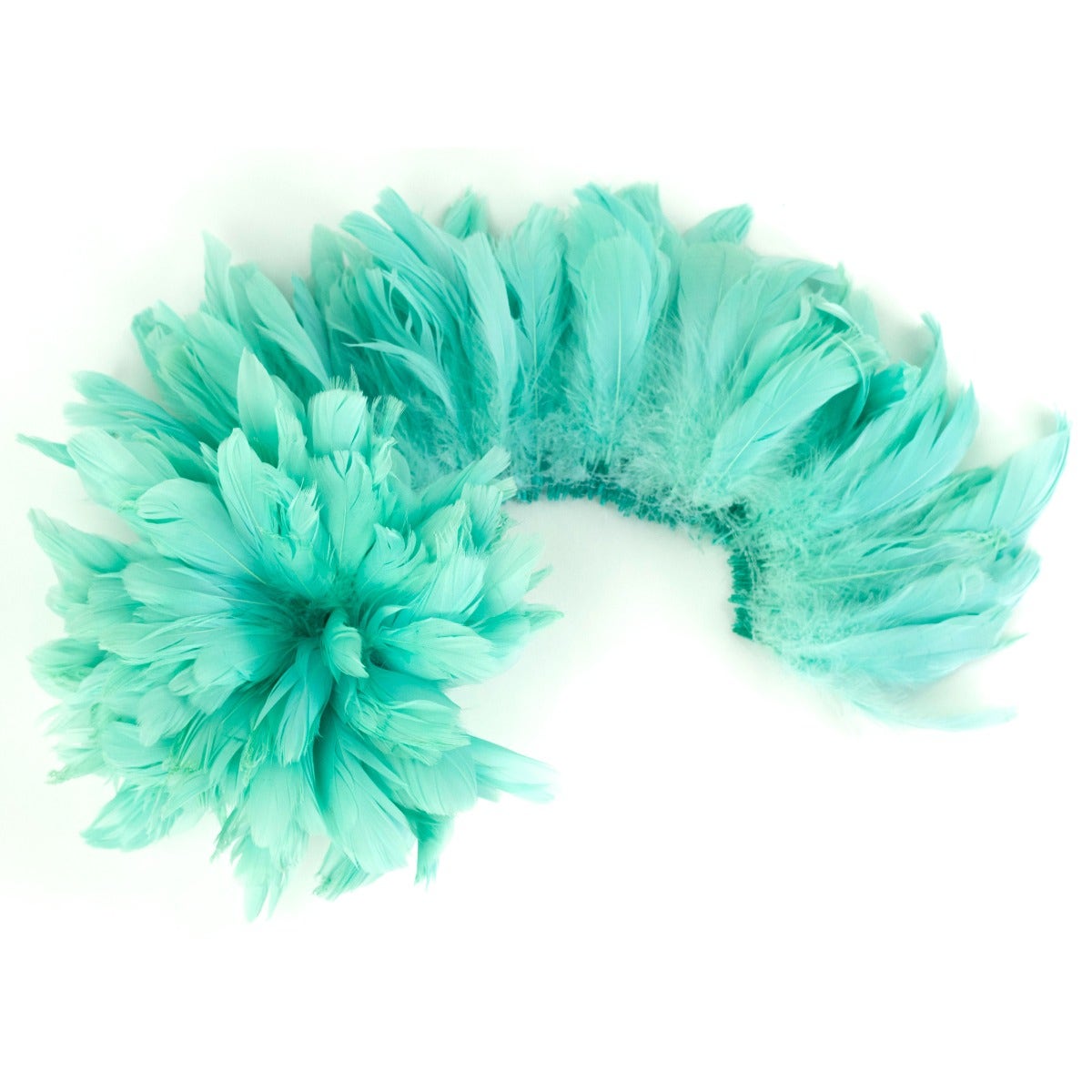 Goose Nagorie Dyed Feathers -Mint