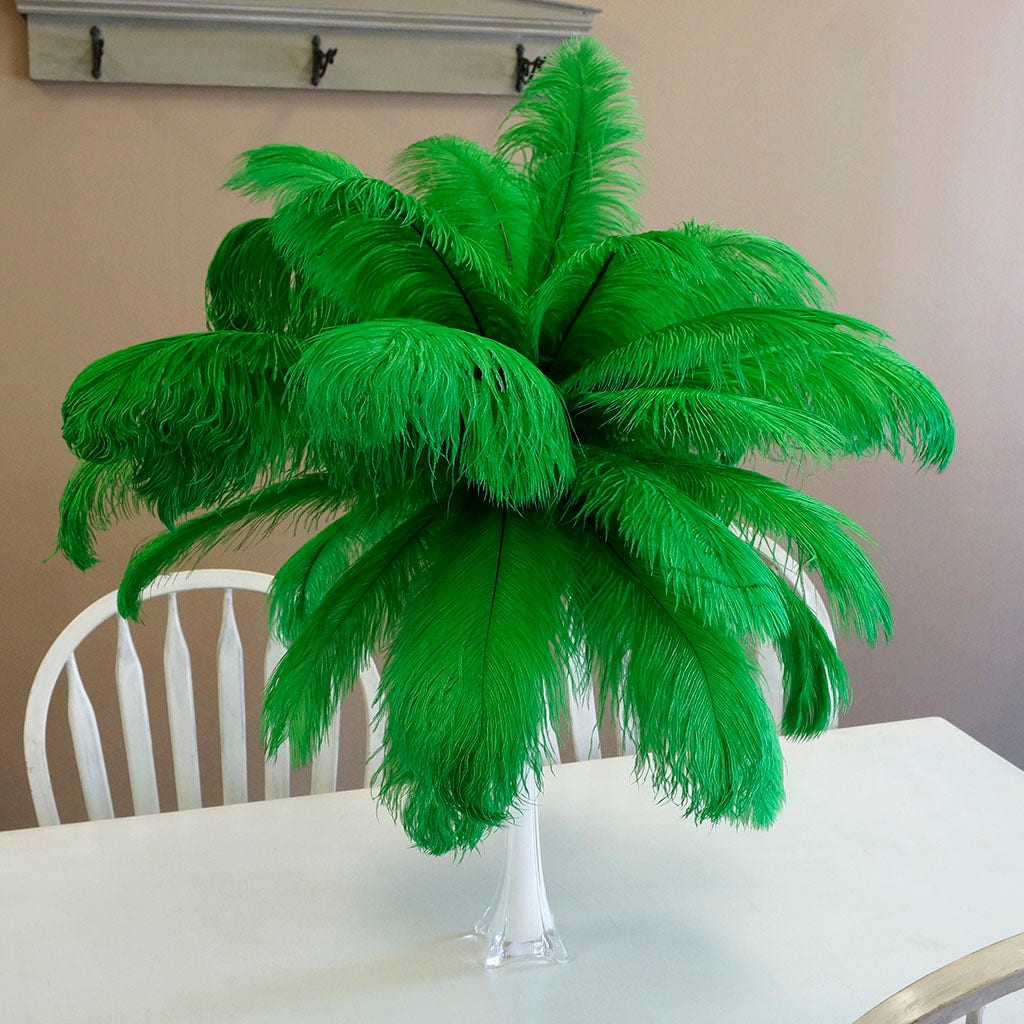 Large Ostrich Feathers - 17"+ Drabs - Kelly