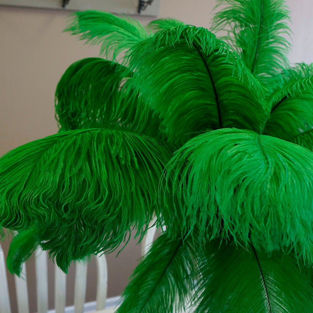Large Ostrich Feathers - 17"+ Drabs - Kelly