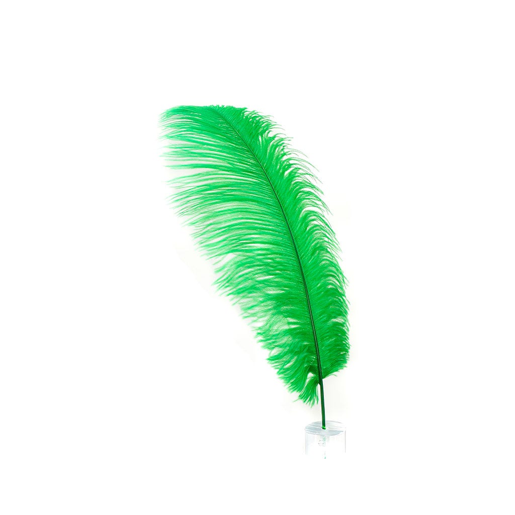 Large Ostrich Feathers - 17"+ Drabs - Kelly