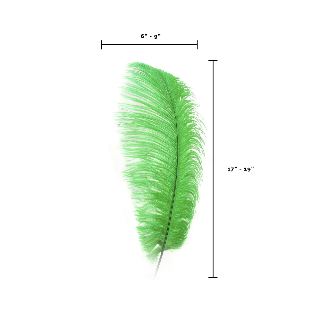 Large Ostrich Feathers - 17"+ Drabs - Kelly