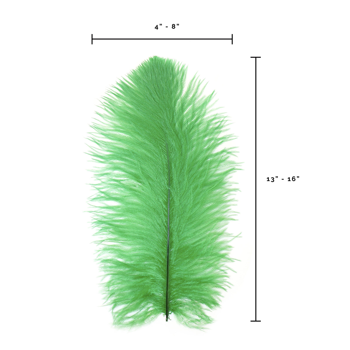 Ostrich Feathers 13-16" Drabs - Kelly