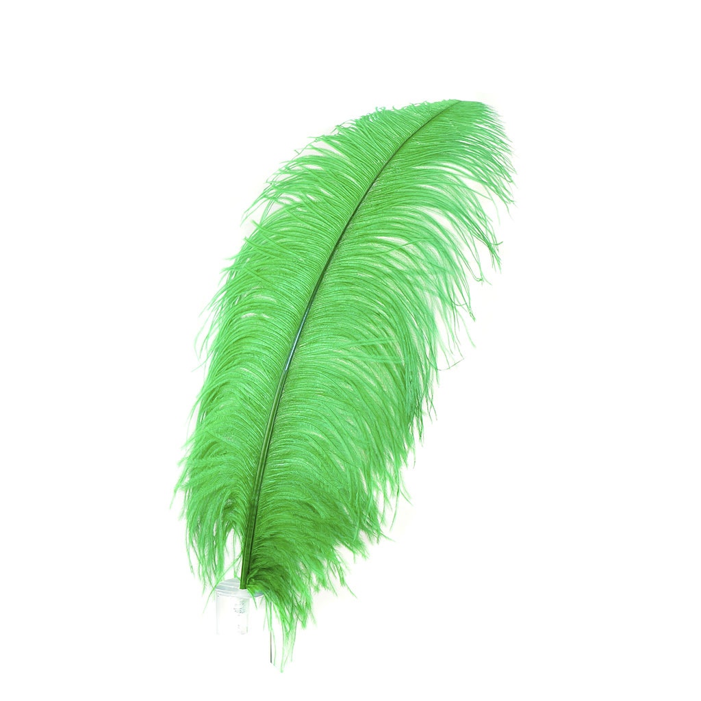 Large Ostrich Feathers - 20-25" Prime Femina Plumes - Kelly