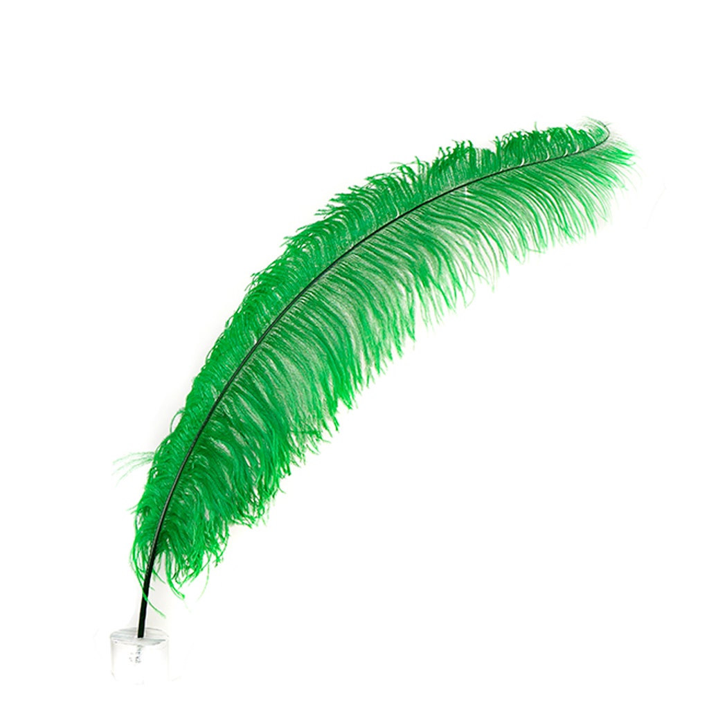Large Ostrich Feathers - 18-24" Spads - Kelly