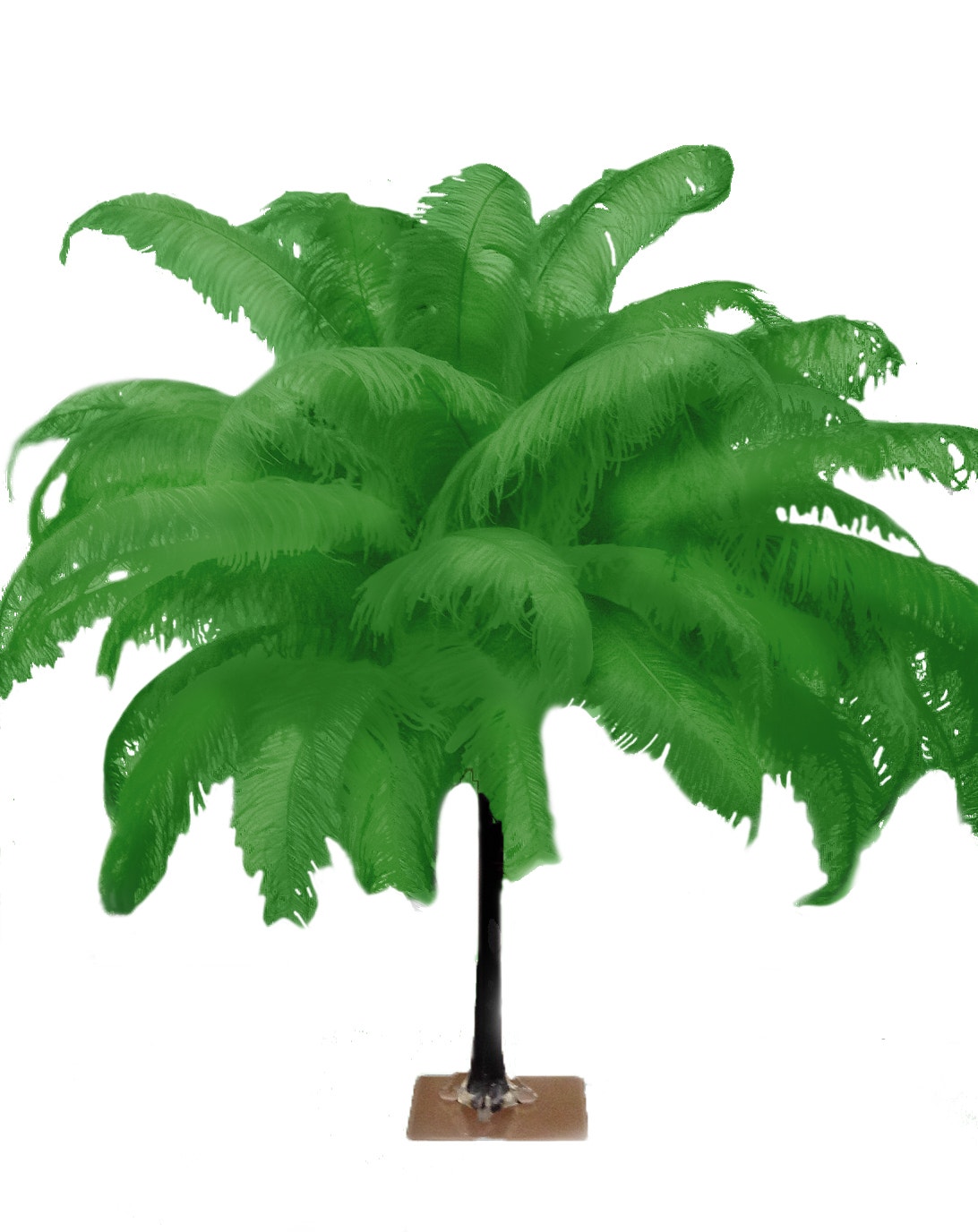 Large Ostrich Feathers - 18-24" Spads - Kelly