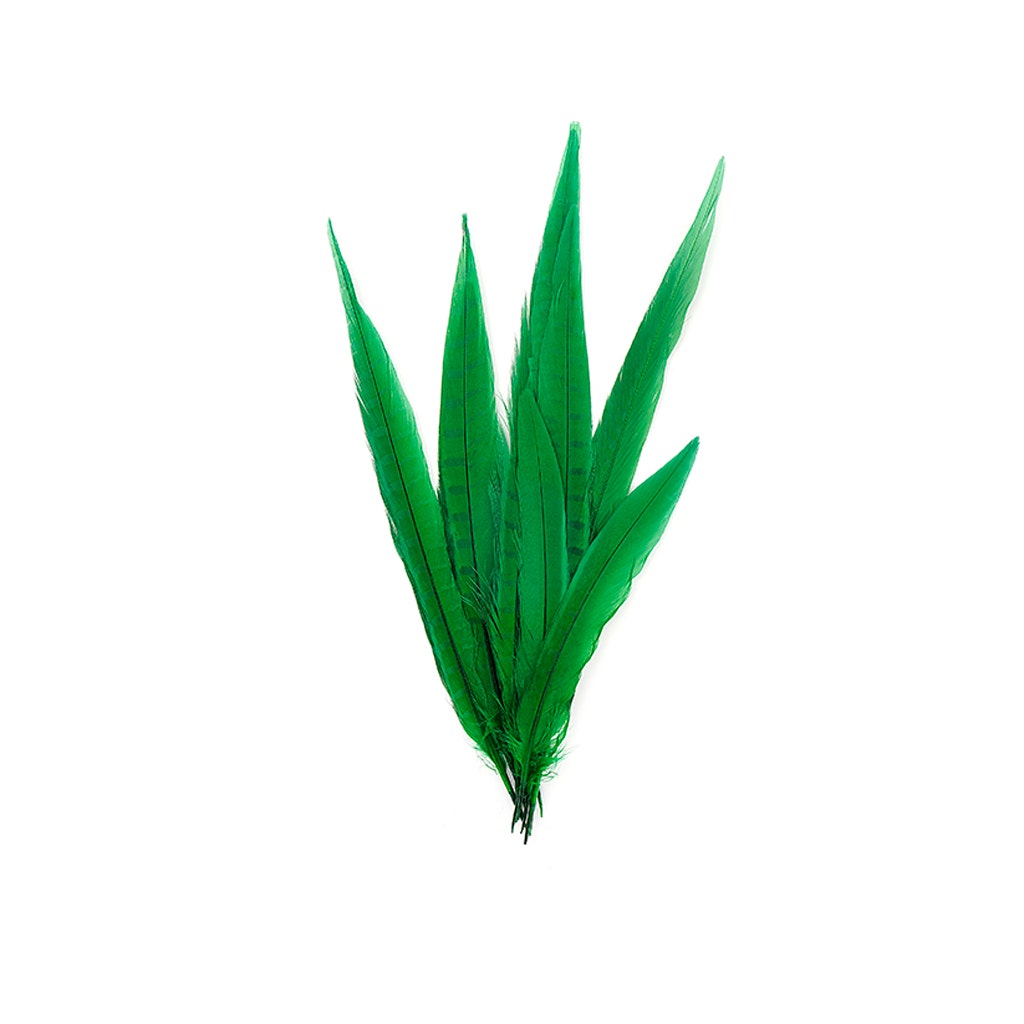 Bulk Assorted Pheasant Tails Dyed - Kelly