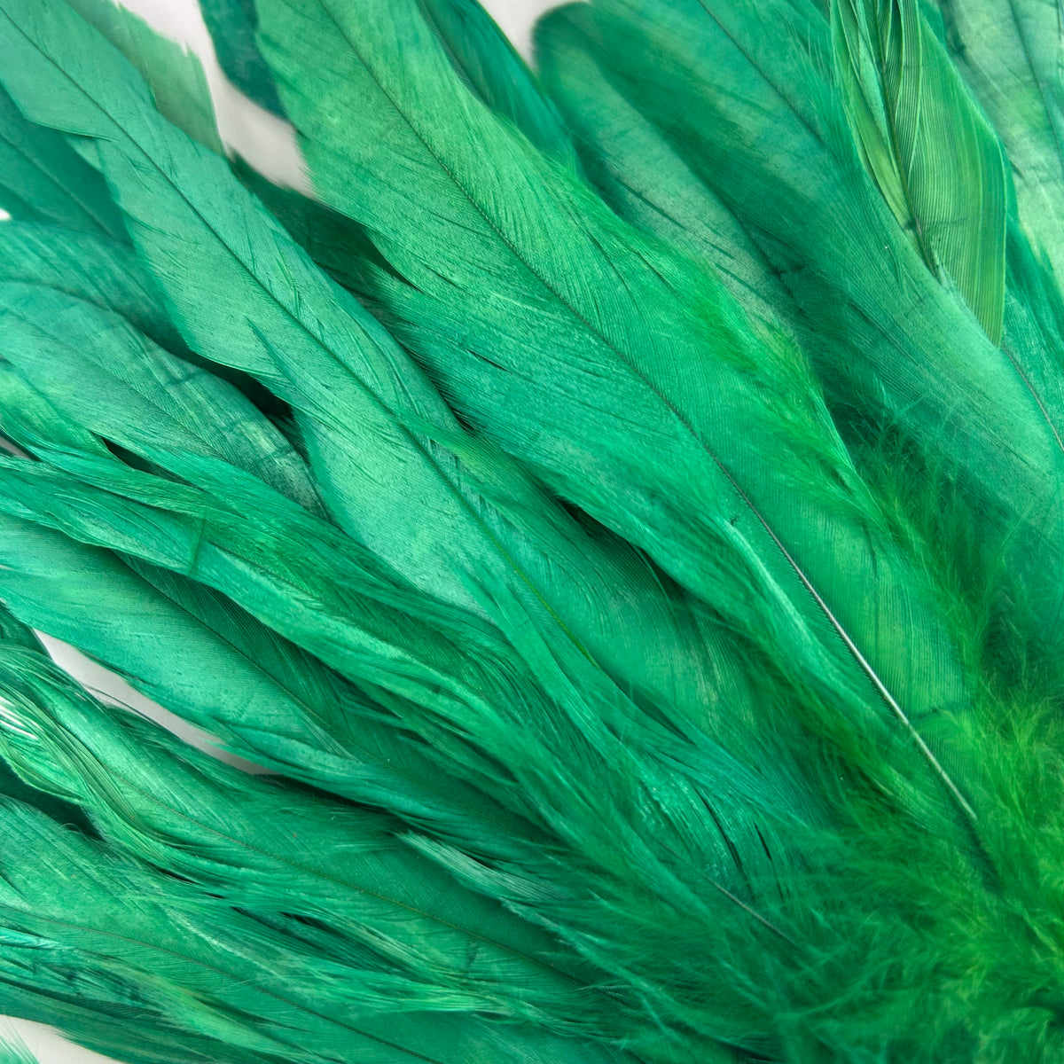 ROOSTER COQUE TAIL FEATHERS BLEACH DYED 7-10” - 25 PC/PKG - Kelly