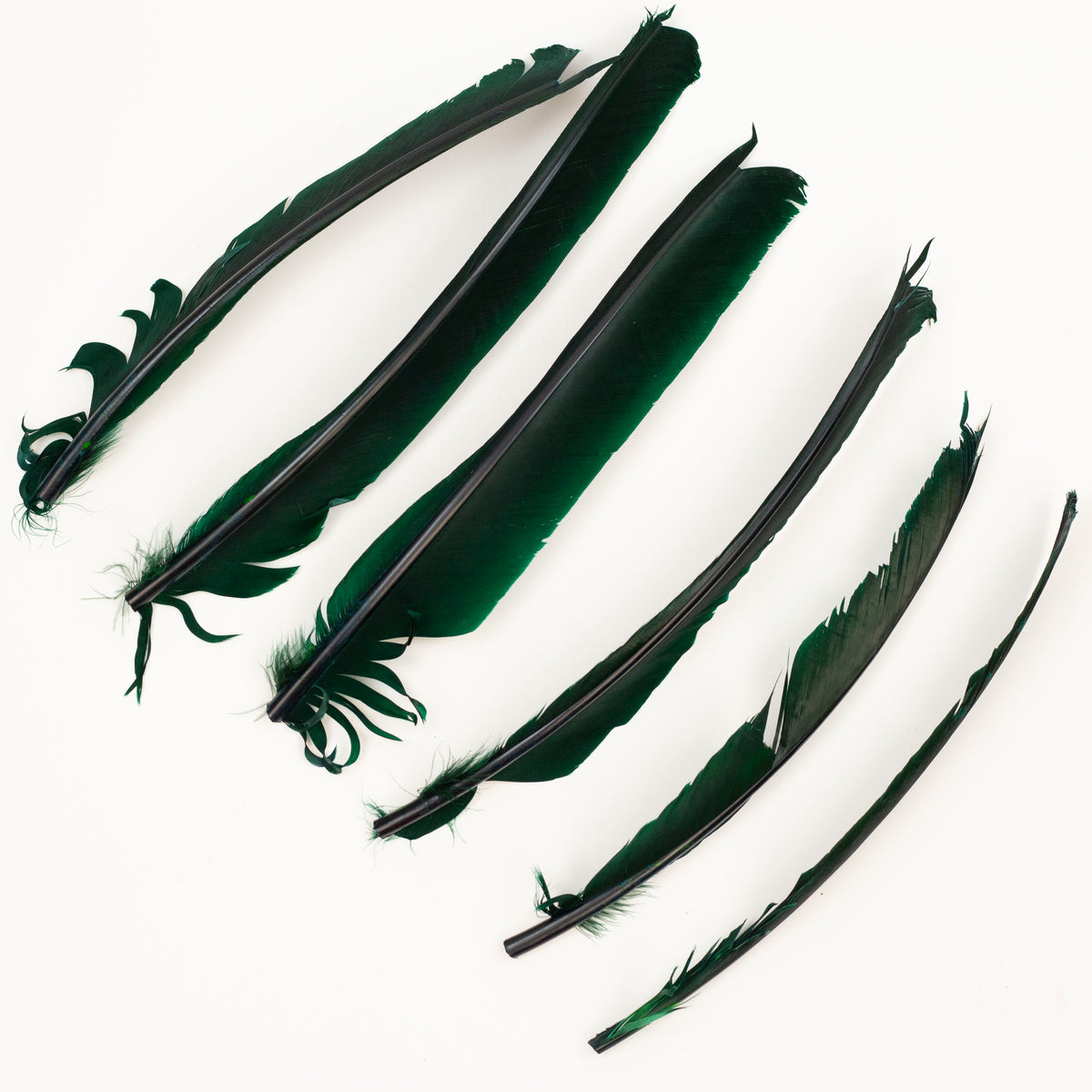 Hunter Green Cut Turkey Pointer Feathers 8-12"