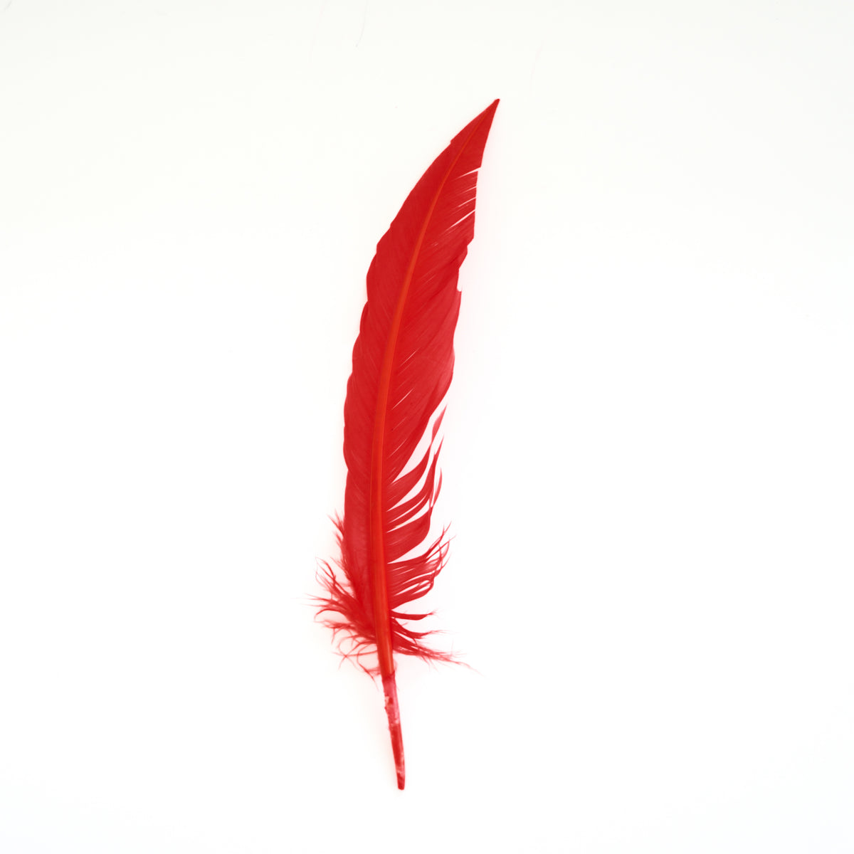 Hot Orange Dagger Turkey Quill Feathers 9-12"
