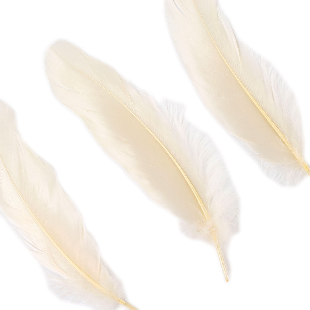 Goose Satinette Feathers Dyed - Ivory - 1/4 lb